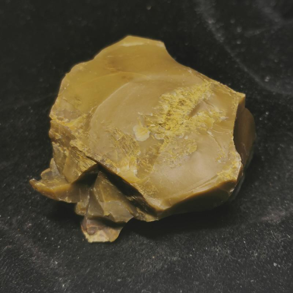 Opalisiertes Versteinertes Holz